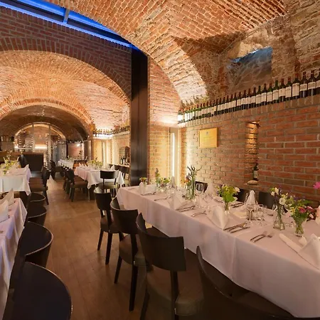 奈卡斯日利纳别墅酒店 酒店 日利纳