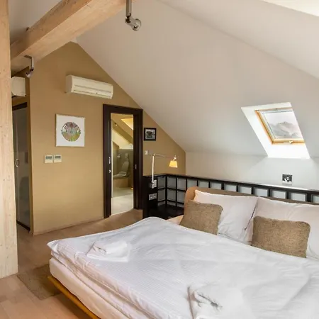 奈卡斯日利纳别墅酒店 酒店 日利纳