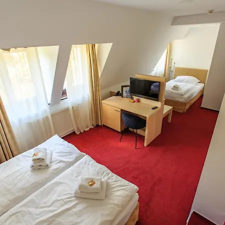 Nečas Hotel 4*