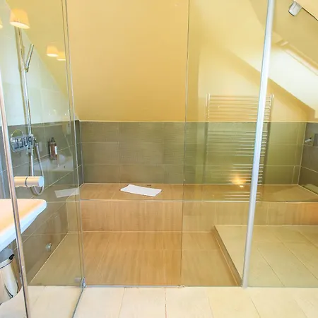 奈卡斯日利纳别墅酒店 酒店