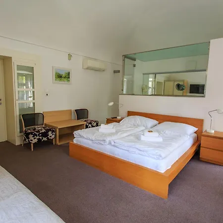 Necas Hotel 4*