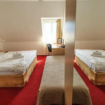 Hotel Necas