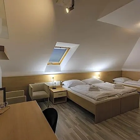 Hotel Necas 4*